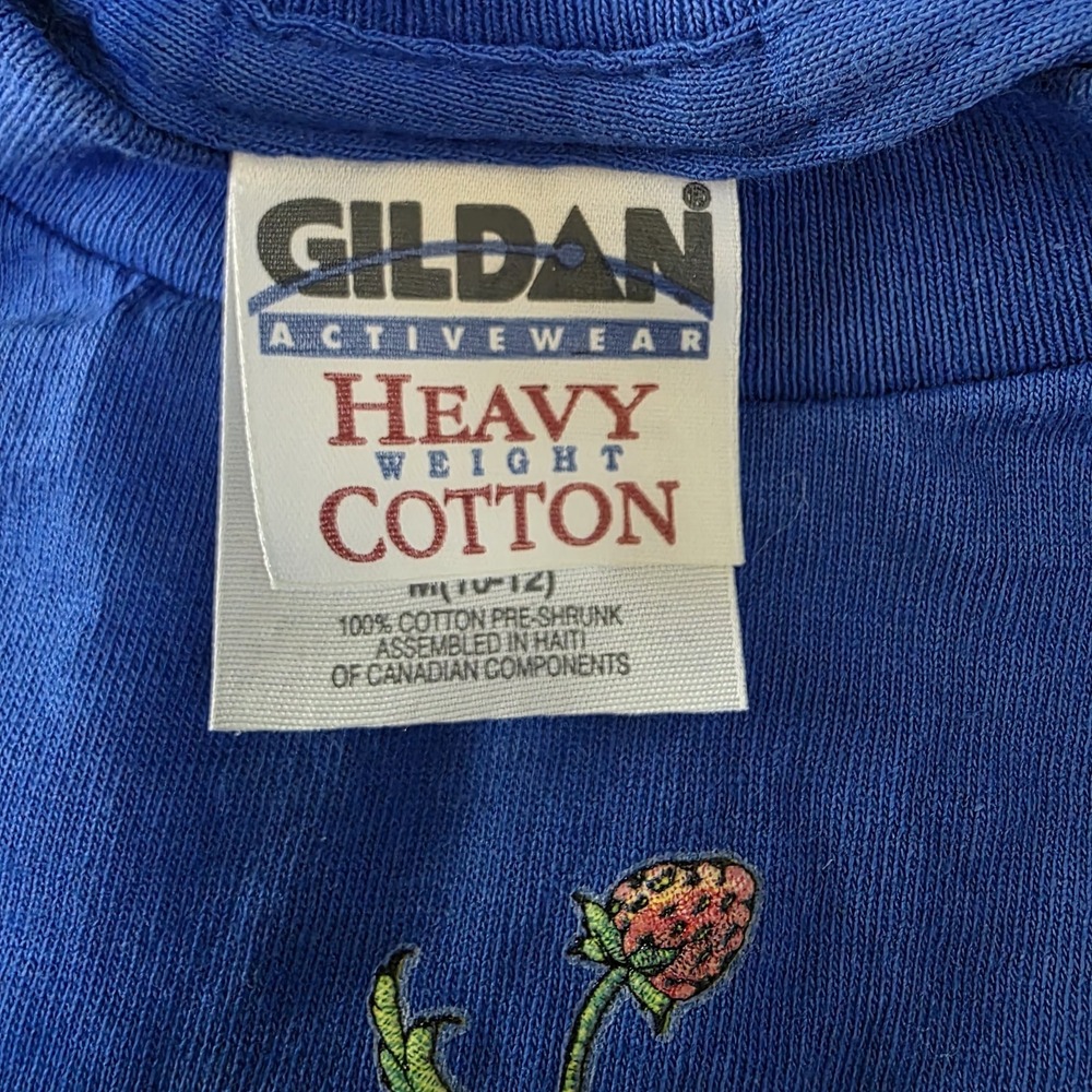 Vtg 1998 Dolly Parton Dixie Stampede Youth Med Tee Straw Bearies Petal Pals Blue - Picture 5 of 6